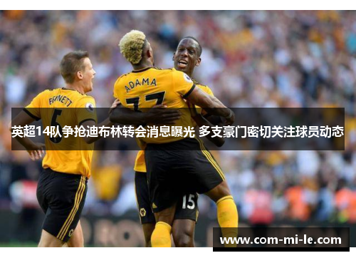 英超14队争抢迪布林转会消息曝光 多支豪门密切关注球员动态