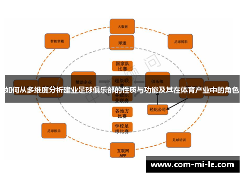 如何从多维度分析建业足球俱乐部的性质与功能及其在体育产业中的角色