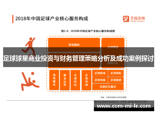 足球球星商业投资与财务管理策略分析及成功案例探讨