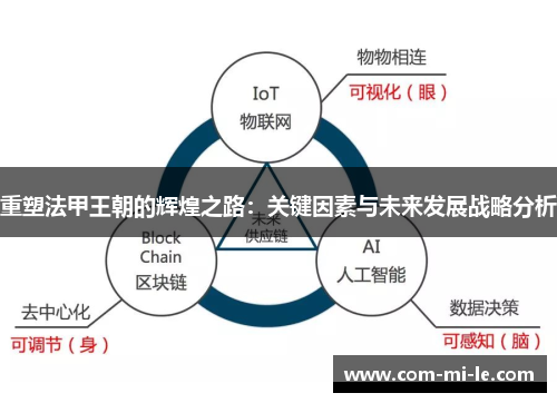 重塑法甲王朝的辉煌之路：关键因素与未来发展战略分析