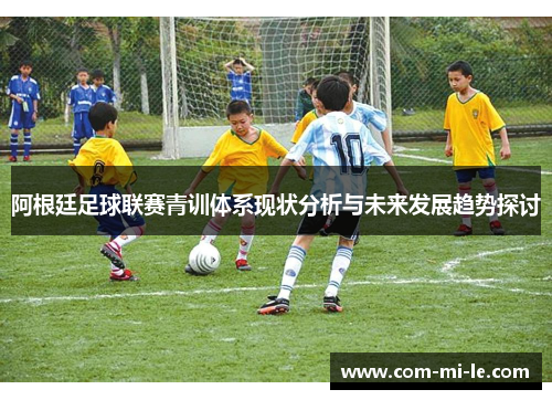 阿根廷足球联赛青训体系现状分析与未来发展趋势探讨