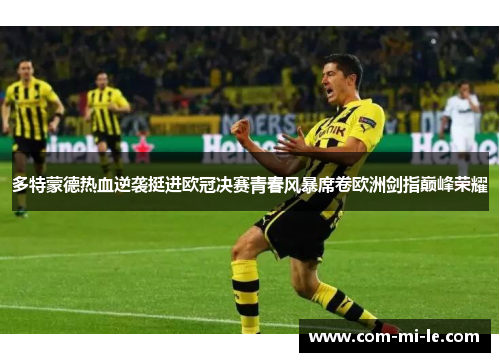 多特蒙德热血逆袭挺进欧冠决赛青春风暴席卷欧洲剑指巅峰荣耀