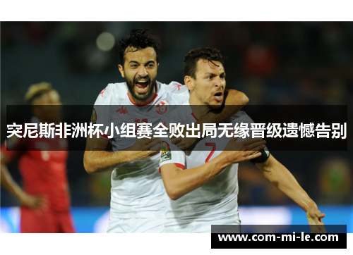 突尼斯非洲杯小组赛全败出局无缘晋级遗憾告别